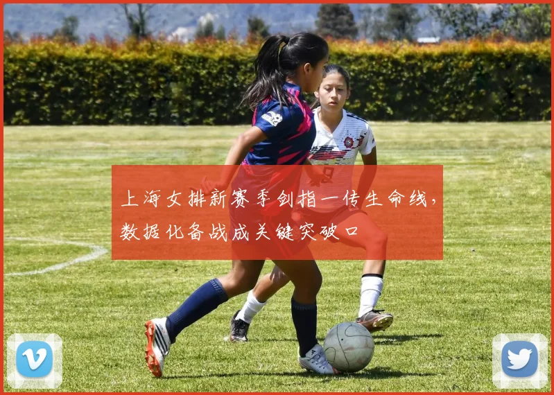 上海女排新赛季剑指一传生命线，数据化备战成关键突破口